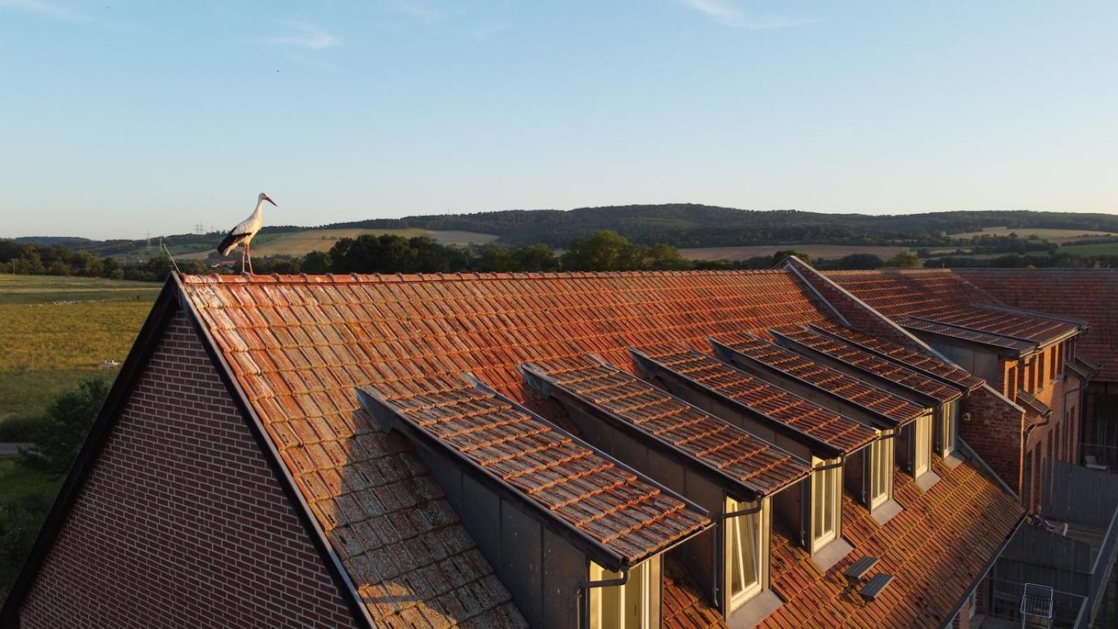 Biohotel Stiftsgut Wilhelmsgluecksbrunn Creuzburg Exteriör bild